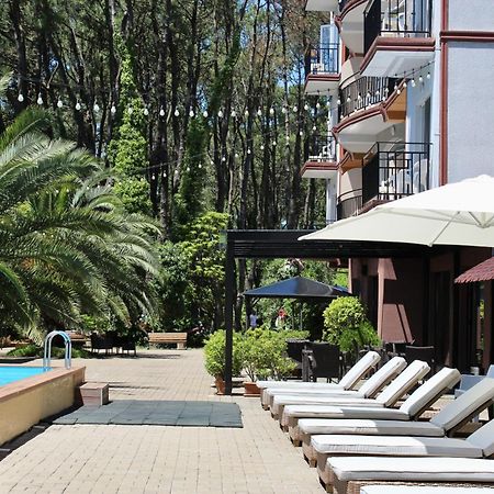 Iveria Elli Hotel 셰크베틸리 외부 사진