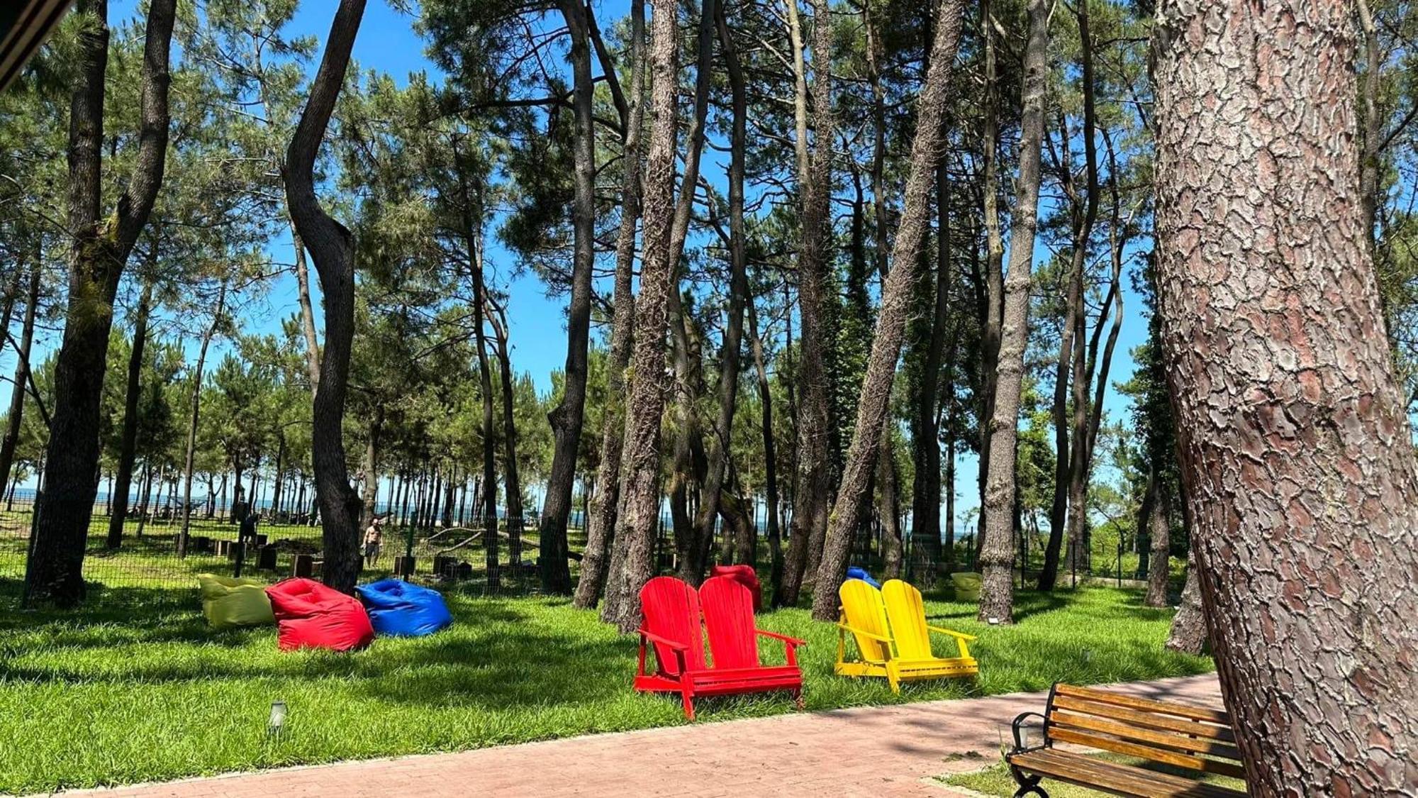 Iveria Elli Hotel 셰크베틸리 외부 사진