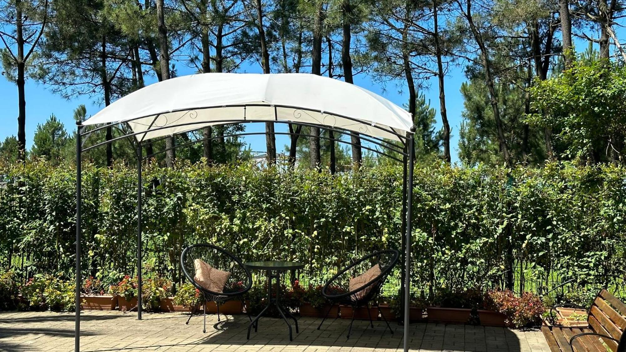 Iveria Elli Hotel 셰크베틸리 외부 사진